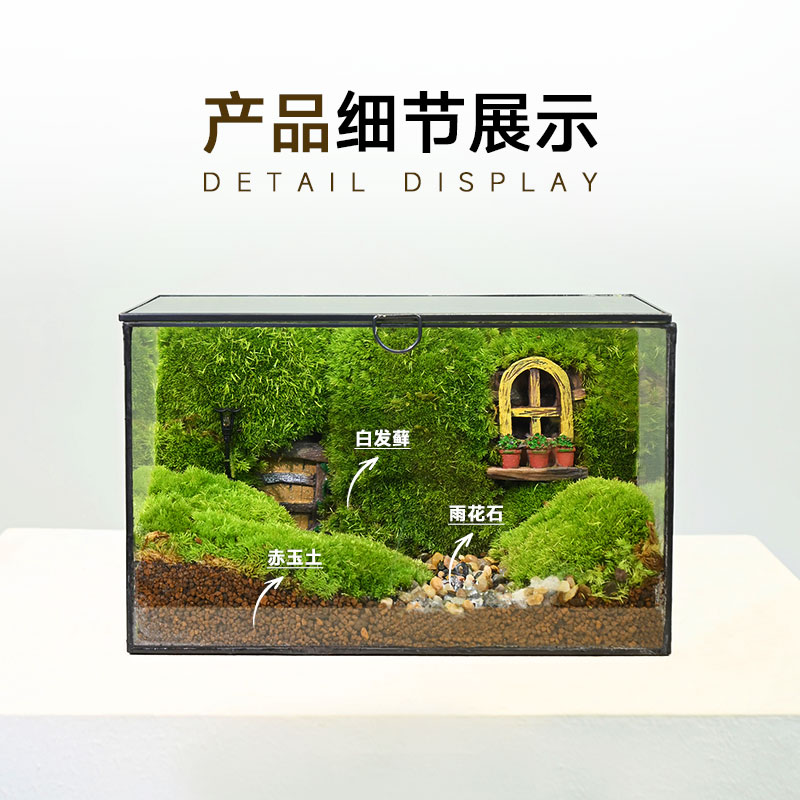 高端ins风苔藓微景观玻璃生态缸