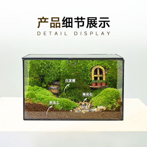 高端ins风苔藓微景观玻璃生态缸