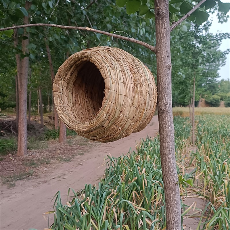 燕子鸟窝鸟巢户外室内屋檐燕巢冬天保暖草窝装饰悬挂式房子春用品