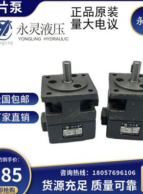 050/0叶片泵 /Y 3/25B永灵/40/20/10-12/2.5原装32/8/4/16.1106
