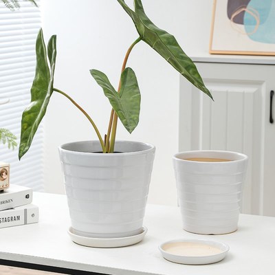 白色高档陶瓷花盆简约北欧风格特大号带托盘虎皮兰发W财树室内家
