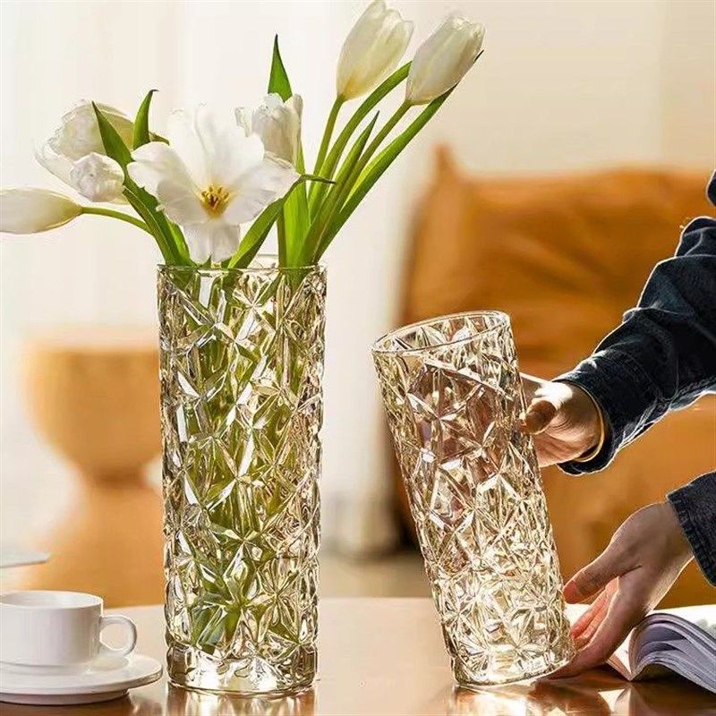 大号简约玻璃花瓶透明水p培富贵竹玫瑰百合客厅桌面插干 干燥花装,鲜花速递/花卉仿真/绿植园艺,花瓶,淘宝优惠券,粉丝福利购,淘宝优惠卷