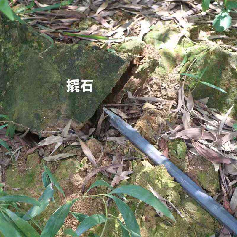 弹簧钢一体锻打铁锹锰钢挖桩取土树根起苗打洞S铲农用工具锹撬棒