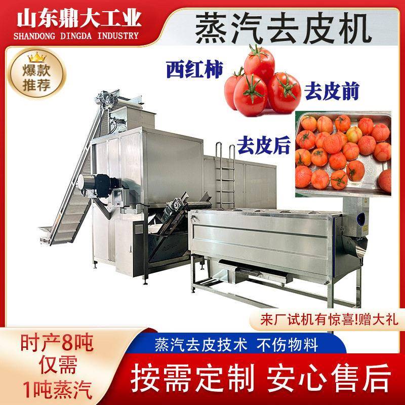 蒸汽去皮机番茄圣女果适用果汁果浆加工低破损全自动蒸汽脱皮设备
