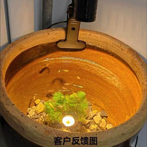 南美鱼缸灯夹灯雷龙专用 观赏造景三湖原生缸水草缸海缸射灯旋款