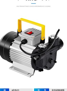 ACTP60 220v电压抽油泵电动加油泵 直流加油泵吸油泵柴油泵