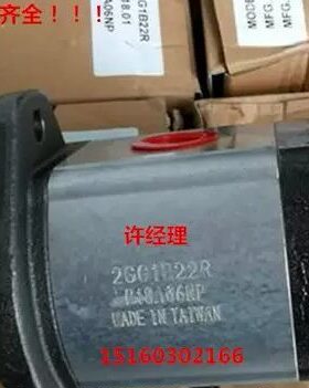 台湾HONOR钰盟 2GG1P16R 2GG1B11R 2GG1P24R 台成齿轮泵