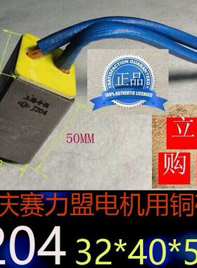 重庆赛力盟电机J204中铜碳刷 32X40X50MM