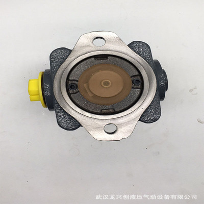 布赫齿轮泵BUCGER液压泵QX32-016R06QX21-012R09QX43QX63QX22油泵