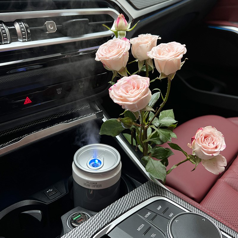 车载加湿器空气净化器x3x5x4x1ix3系5系车用雾化器香薰氛围灯