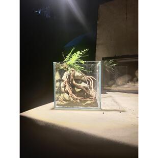 鱼缸造景骨架设计套餐懒人造景入缸成景一物一拍鱼缸装饰原生缸