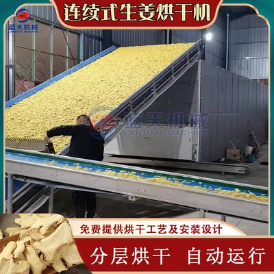 大姜烘干设备 全自动生姜清洗切片烘干生产线 姜片生物颗粒烘干机