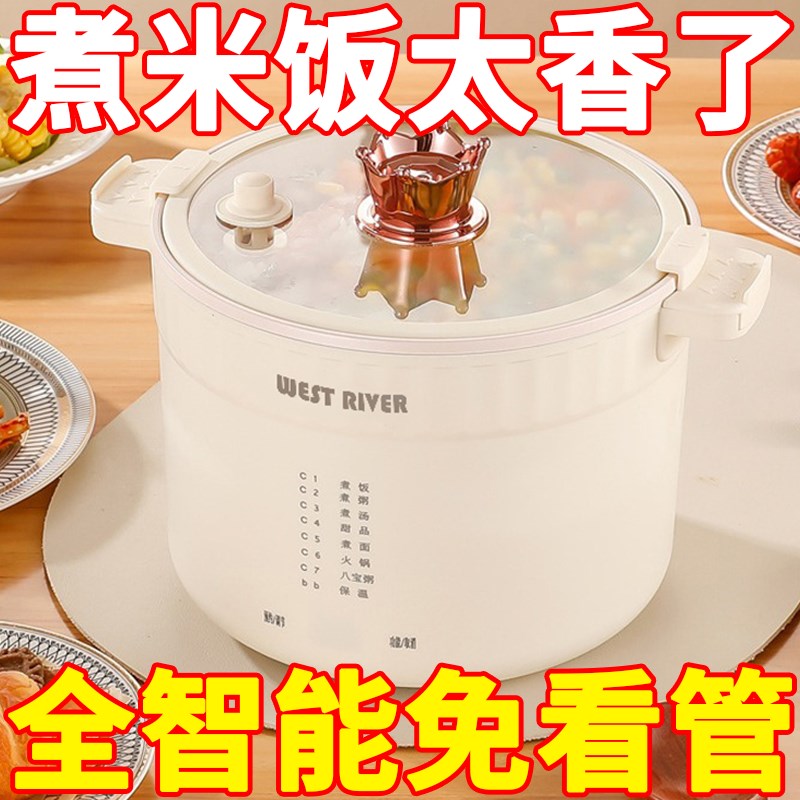 德国家用低糖电饭锅智能小型x电饭煲微压电煮锅多功能一体预约迷