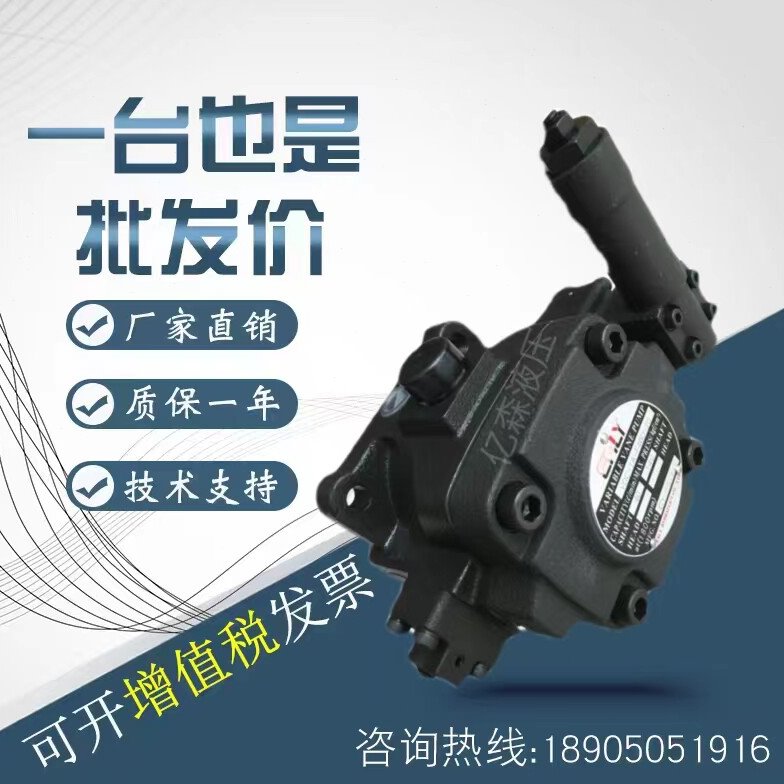 弋力变量叶片泵VDC-1A-20/30/40/A/B/C/D-20 VDC-2A-54A/B/C/D-20