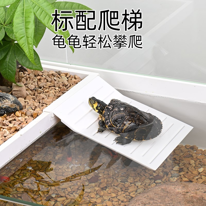乌龟专用大晒台爬台深水龟爬坡休B息平台高水位躲避屋生态造景用