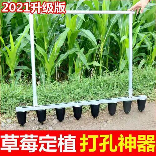 草莓种植神器打孔栽苗器农用工具机械农业大棚蔬菜打窝移苗移栽机