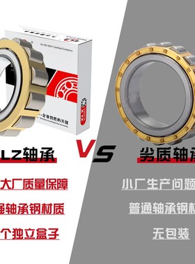 RN205/M RN206 RN307 RN309 RN312 RN219/ECM减速偏心轴承