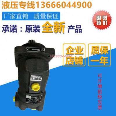 上海玉峰A2F28R6.1B3 A2F80R6.1P5 A2F107W6.1P6 柱塞泵马达 电气