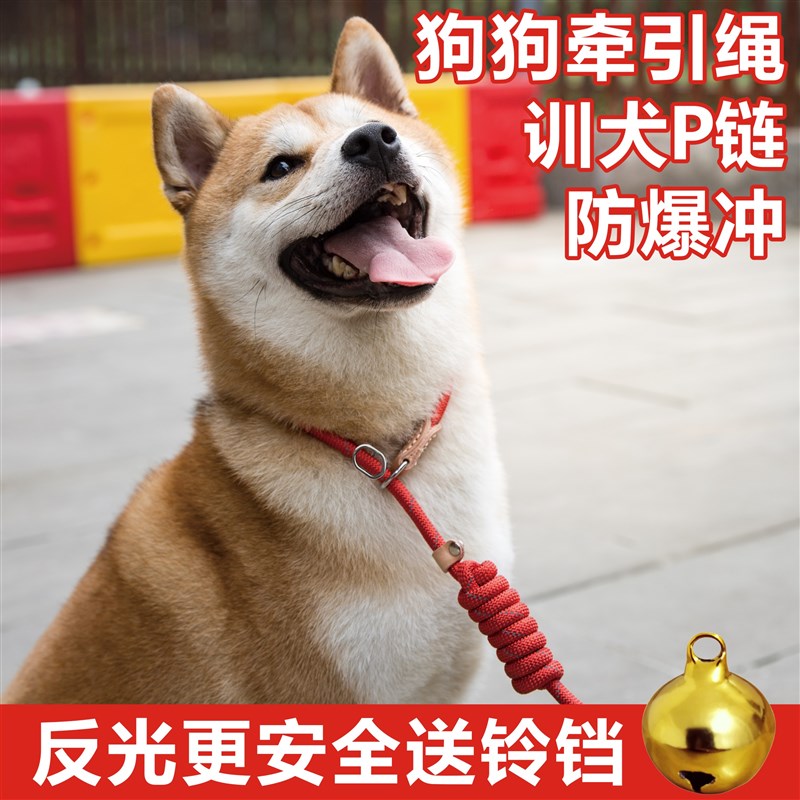 反光尼龙狗狗P链牵引绳训练P绳P型狗链鹿犬比熊幼小型犬中大型犬