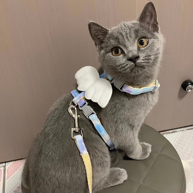 猫咪牵引绳夏季遛猫绳可调节防挣脱工字绳外出拴猫链宠物狗狗背带
