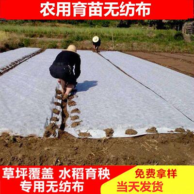 农用不织布育苗专用不织布透气覆盖草籽苗圃育苗地布地膜白色育秧