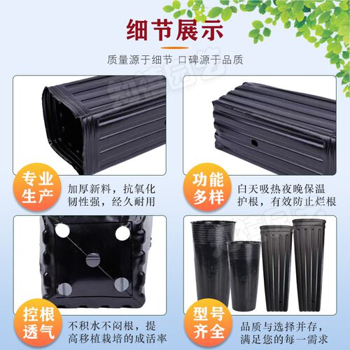 脐橙柑橘育苗袋营养钵育苗杯加厚育苗杯细高塑料营养钵育苗盆方形