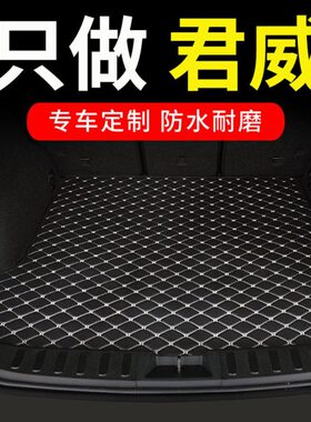 s后备箱垫用品2024g别克车垫尾箱24君威子汽车全包围款君威新后背