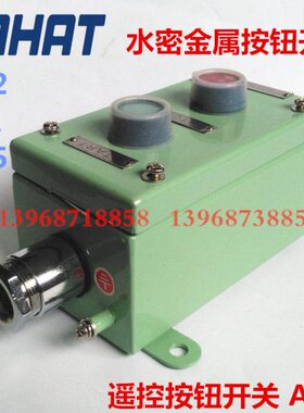 112N0金属按钮开关NA-10 控制遥控开关2密-开关2防水泰A水航船用A