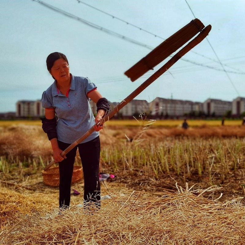 打菜籽连盖连枷打谷子打油v菜专用打豆子连架打麦子梿枷农具大全