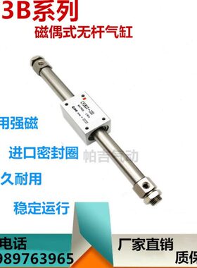 15015/0//20Y3001Y10 B5000式无杆气缸3010/250/偶40/C/B25C磁/-