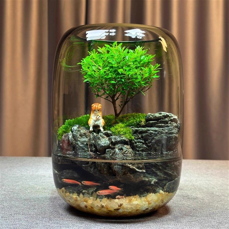 【年年有鱼】创意苔藓微景观办公室生F态缸鱼缸桌面生态瓶摆件成,鲜花速递/花卉仿真/绿植园艺,苔藓微景观,淘宝优惠券,粉丝福利购,淘宝优惠卷