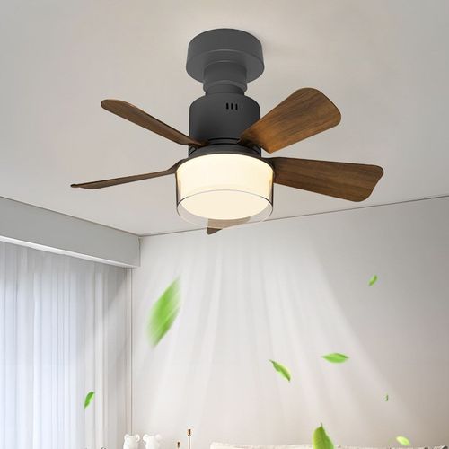 新款E27螺口可拆叶花型吊扇灯APCP遥控卧室餐厅静音简约蜻蜓风扇