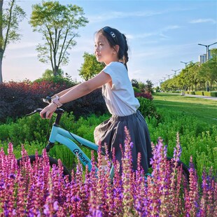 青少年学生单车儿童山地变速自行车B双碟煞6 12岁男女孩运动越野