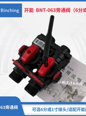 开能 旁通阀 BNT-063旁通阀 6分或1口 适配奔泰水处理控制阀
