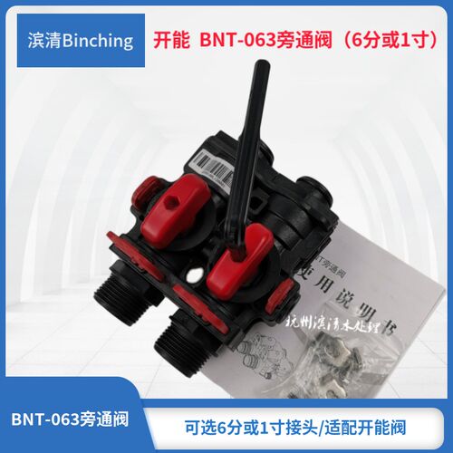 开能 旁通阀 BNT-063旁通阀 6分或1口 适配奔泰水处理控制阀