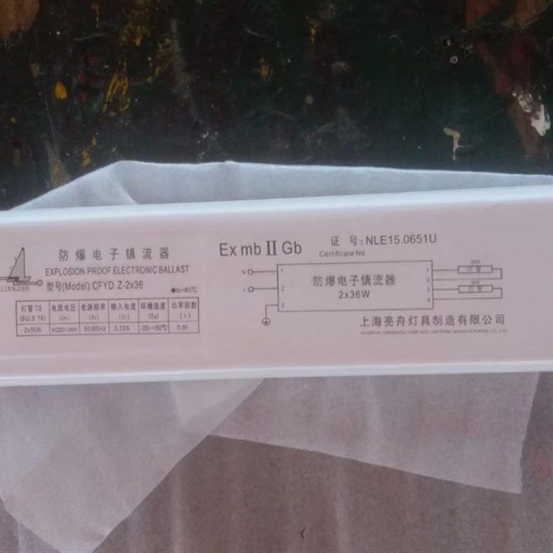上海亮舟船用荧光灯电子防爆镇流器一拖二2*18W/30W/36W原装正品