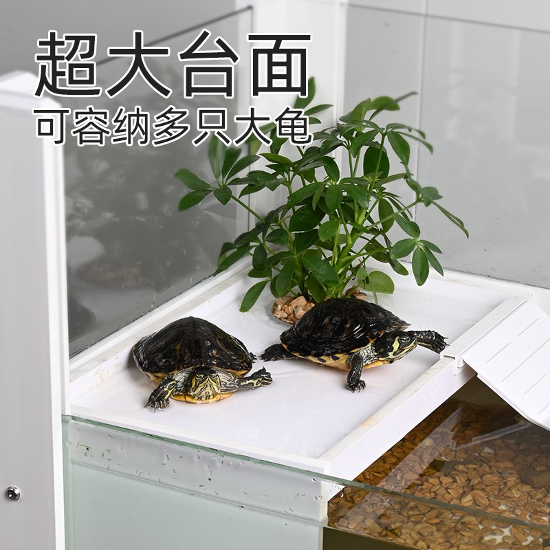 乌龟专用大晒台爬台深水龟爬坡休息平H台高水位躲避屋生态造景用