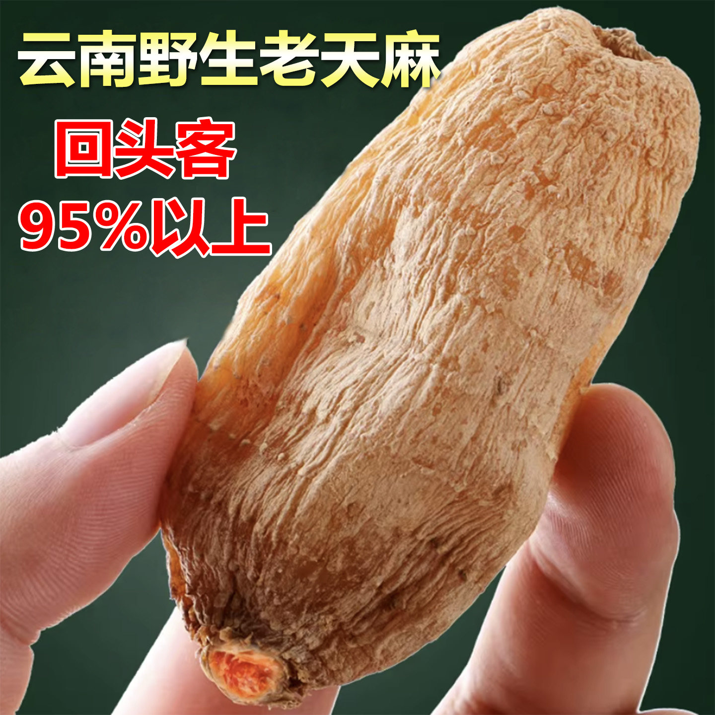 云南昭通天麻野生特级官方旗舰店正宗整个小草坝新鲜中药材干货