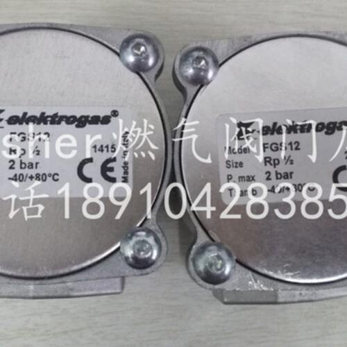 意大利FGS12壁挂炉过滤器 人工煤气过滤器 FGS22焦炉煤气过滤器