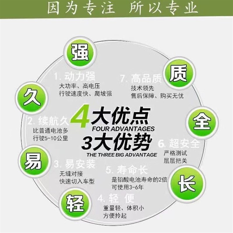 48V小葡萄电动踏板车锂电池48伏台铃小刀艾玛绿源雅迪大容量电瓶