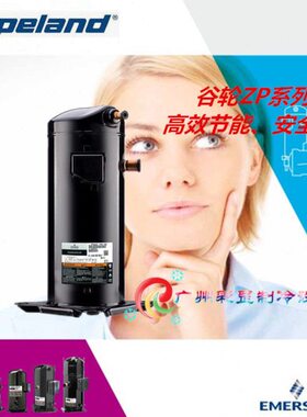 -冷冻5-E135P36P3TFK05- 5TFK-谷轮压缩机6工业E机5进口22ZZ