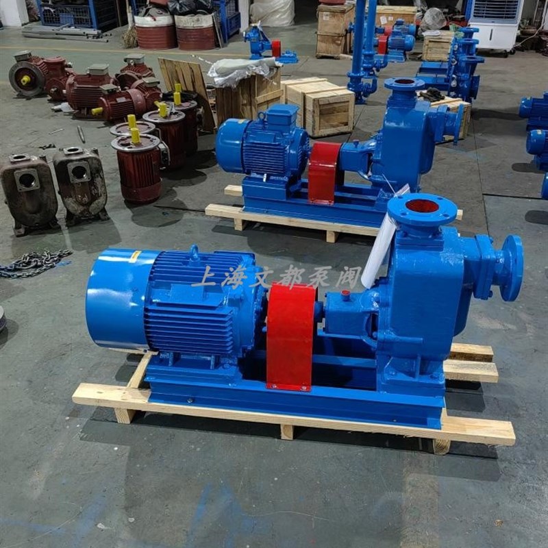 无堵塞排污泵65ZjW25-30-5.5型铸铁自吸泵化粪池不锈钢电动污水泵