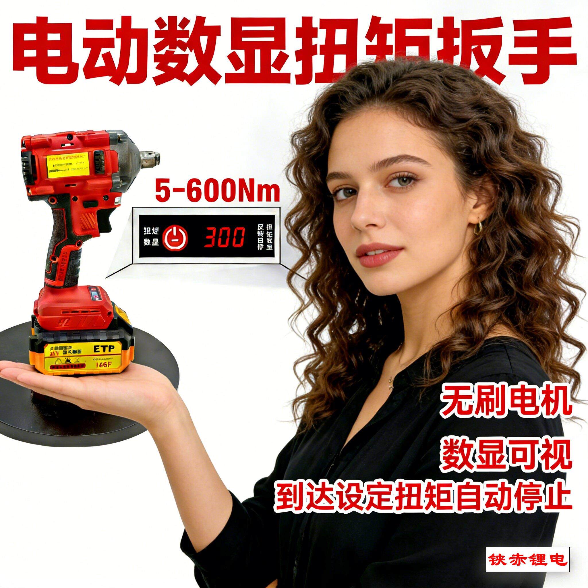 铗赤无刷电动定扭矩可调扭矩数显扭力扳手电筒子数扭矩扳手5-600