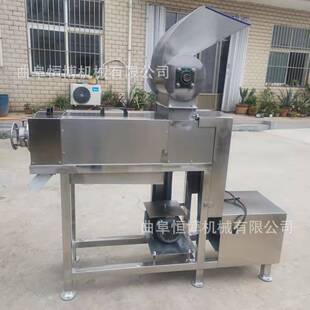 大型梨榨汁机 苹果胡萝卜果蔬压榨机 生姜榨汁机