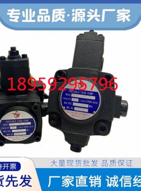 VP2-40 30-70 变量叶片油泵VP1-8 12 15 20-35 55仙居YLC永灵