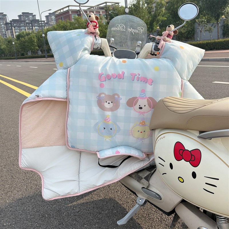 快乐电动c车挡风被冬四季通用2025新款双面防水加绒加厚