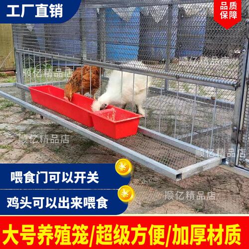 鸡笼子家用室外防黄鼠狼养殖专用加密加厚大号特大户外养鸭鹅兔