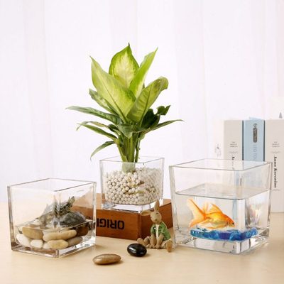 水培植物玻璃瓶 水培绿萝花瓶花盆玻璃透明桌面摆件水养器皿容器
