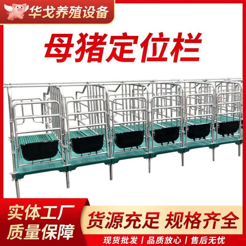 热镀锌母猪限位栏落地式母猪定位栏源头实力厂家不包邮