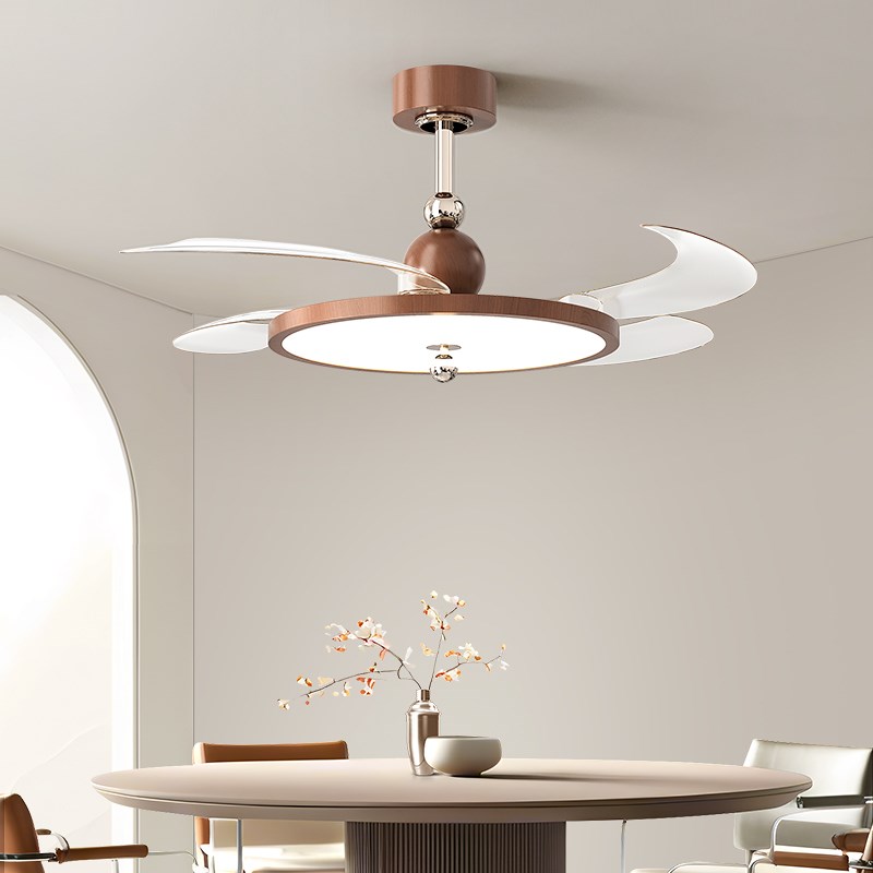 2025新款隐形静音一v体电扇灯卧室灯中古风餐厅风扇灯